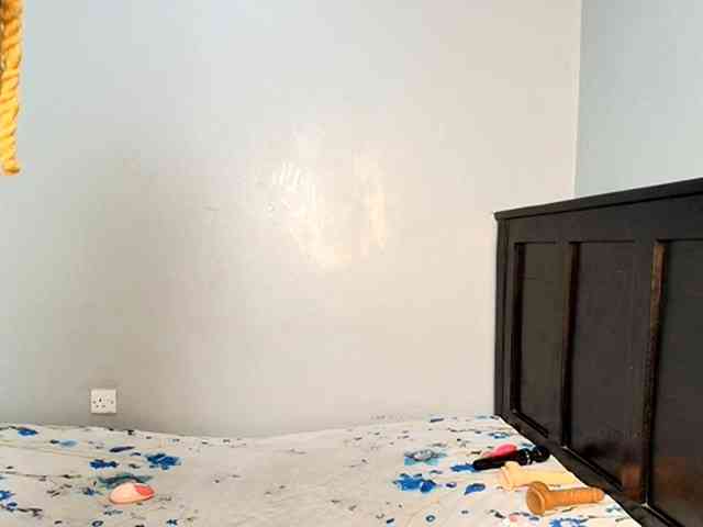 DarkCoco webcam