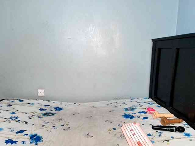 DarkCoco webcam