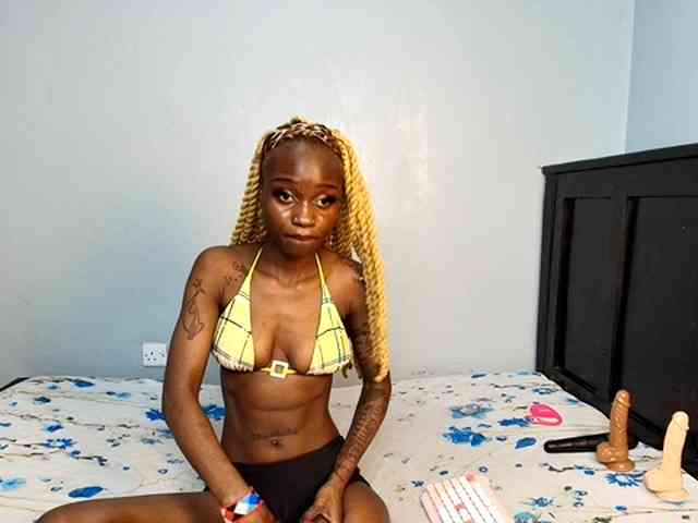 DarkCoco webcam