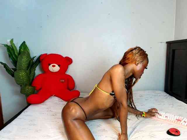 DarkCoco webcam