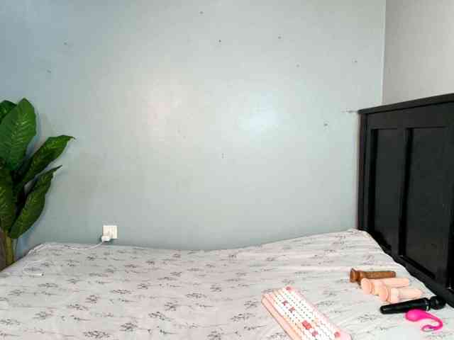 DarkCoco webcam