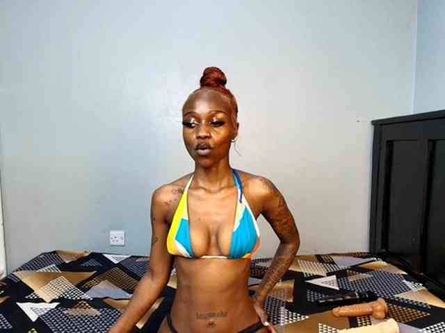 DarkCoco webcam