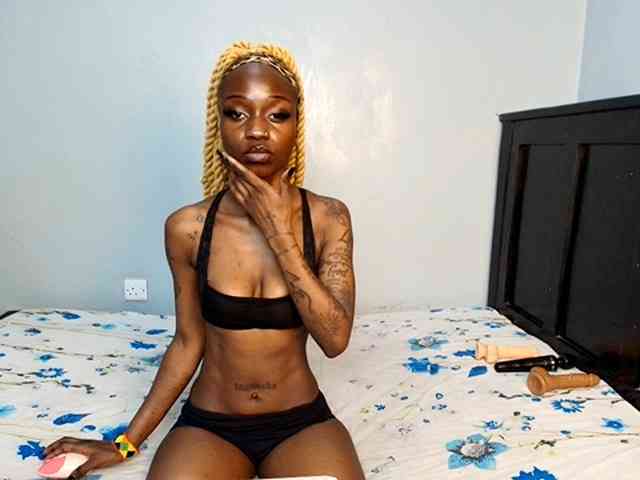 DarkCoco webcam