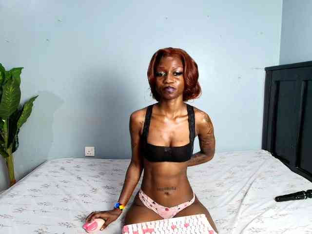 DarkCoco webcam