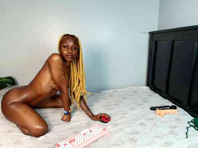 DarkCoco webcam