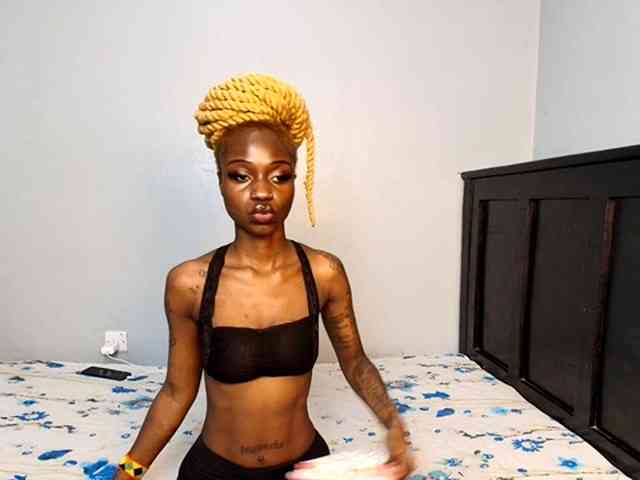 DarkCoco webcam