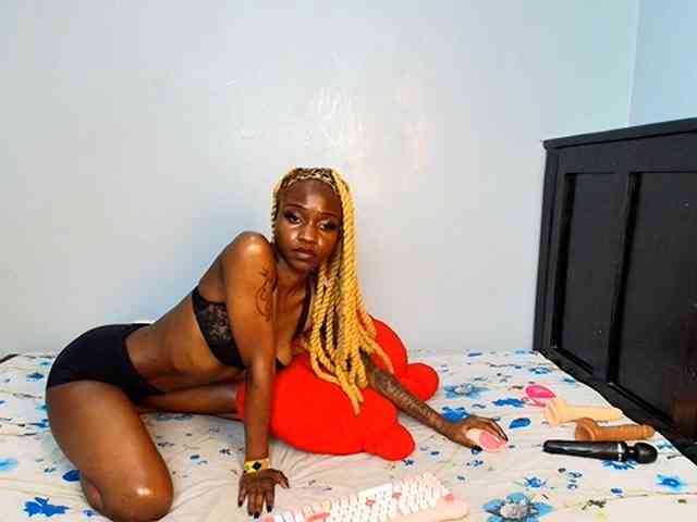 DarkCoco webcam