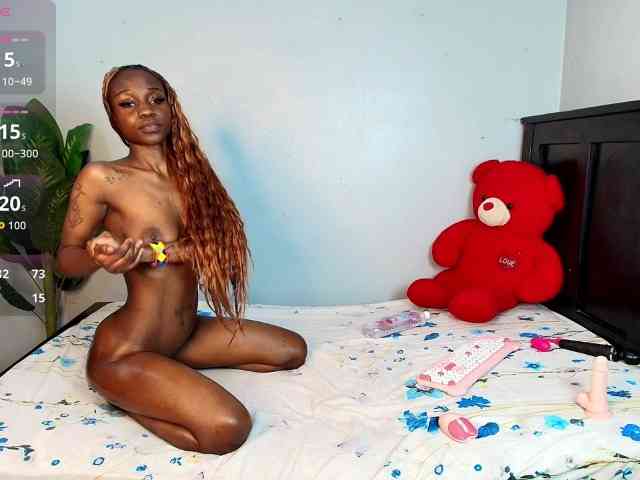 DarkCoco webcam