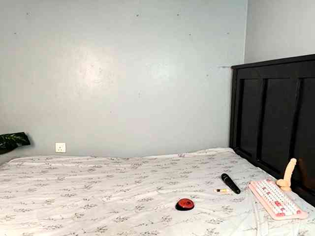 DarkCoco webcam