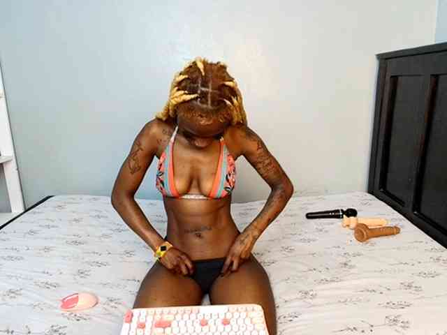 DarkCoco webcam