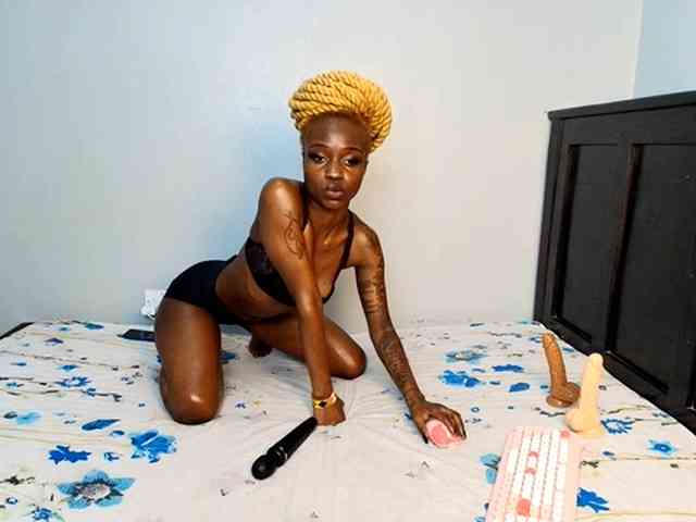 DarkCoco webcam