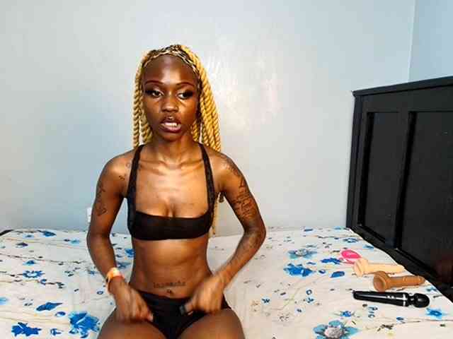 DarkCoco webcam