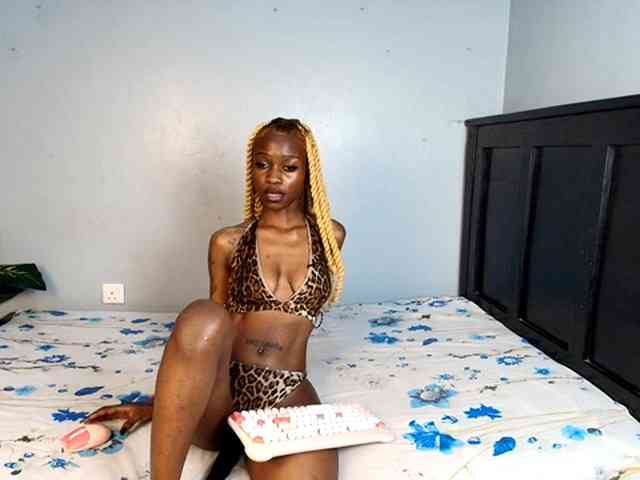 DarkCoco webcam