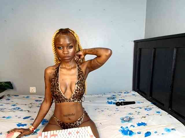 DarkCoco webcam