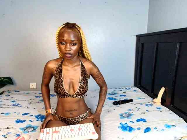 DarkCoco webcam