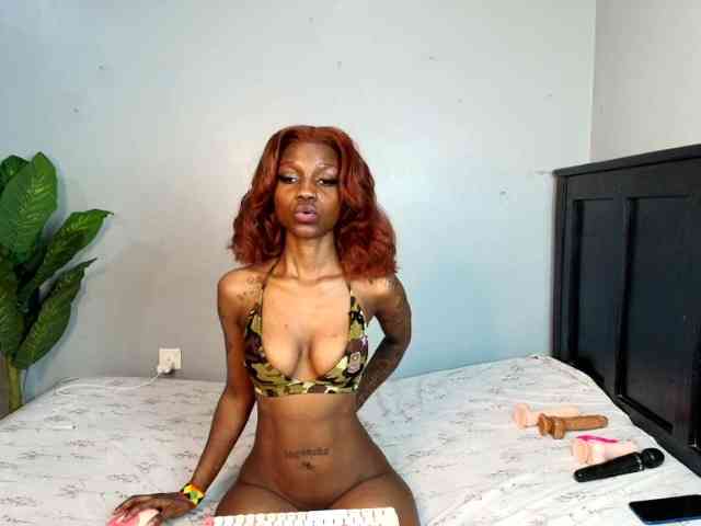 DarkCoco webcam