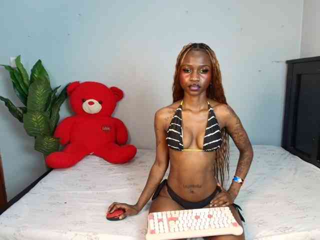 DarkCoco webcam