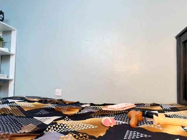 DarkCoco webcam