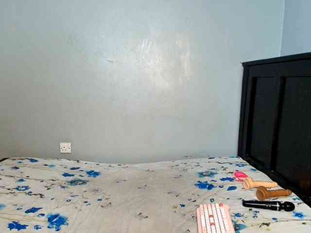 DarkCoco webcam