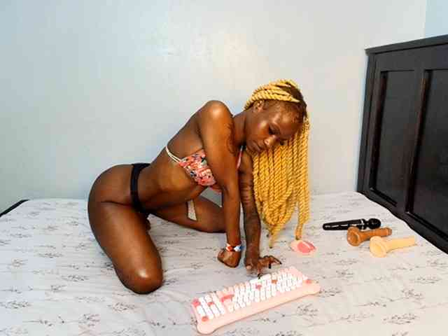 DarkCoco webcam