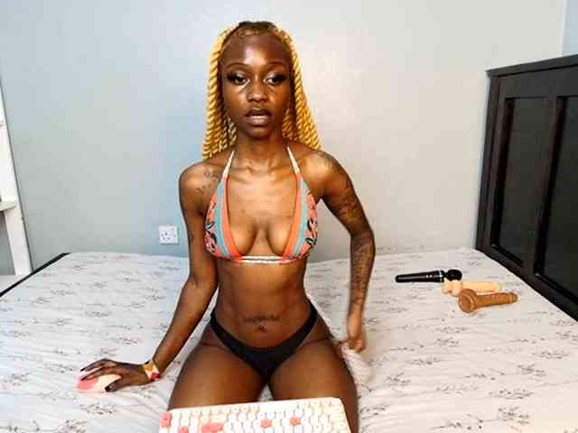 DarkCoco webcam