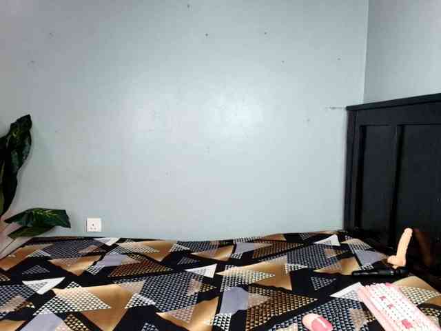 DarkCoco webcam