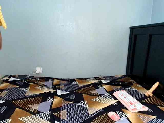 DarkCoco webcam