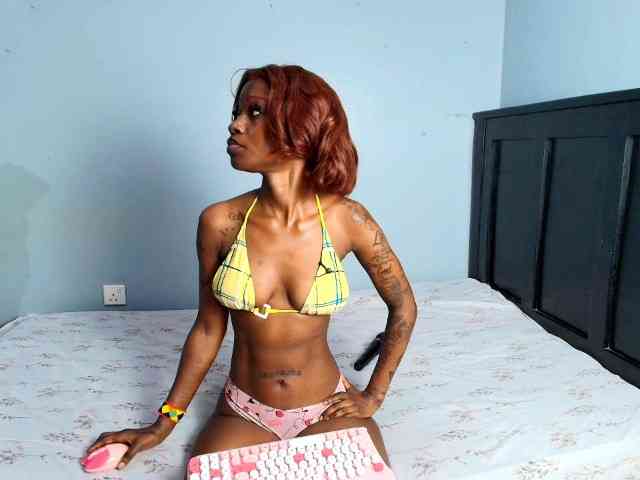 DarkCoco webcam