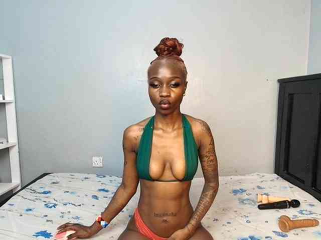 DarkCoco webcam