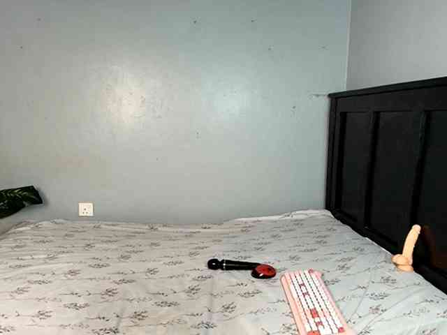 DarkCoco webcam