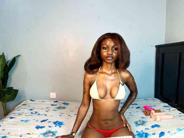 DarkCoco