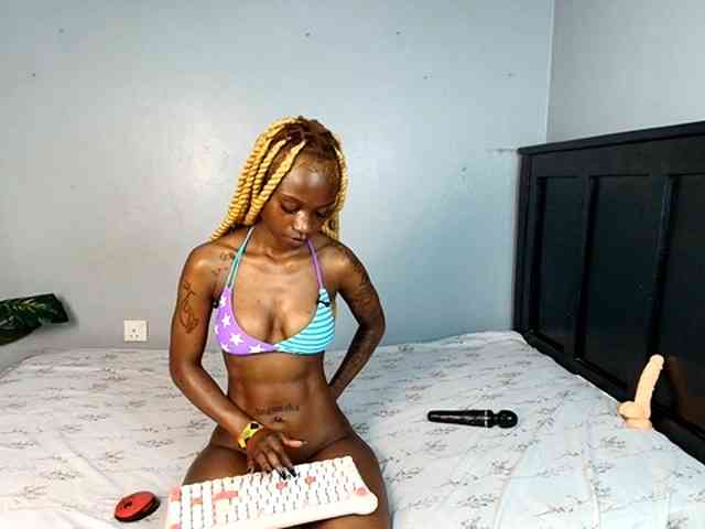 DarkCoco webcam
