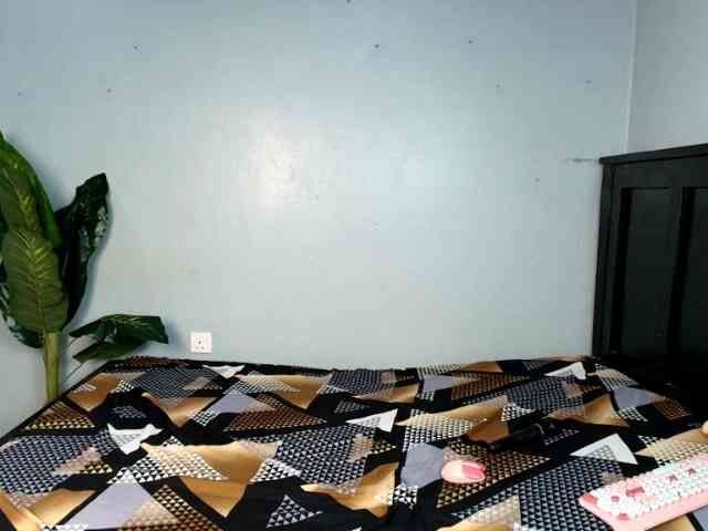 DarkCoco webcam