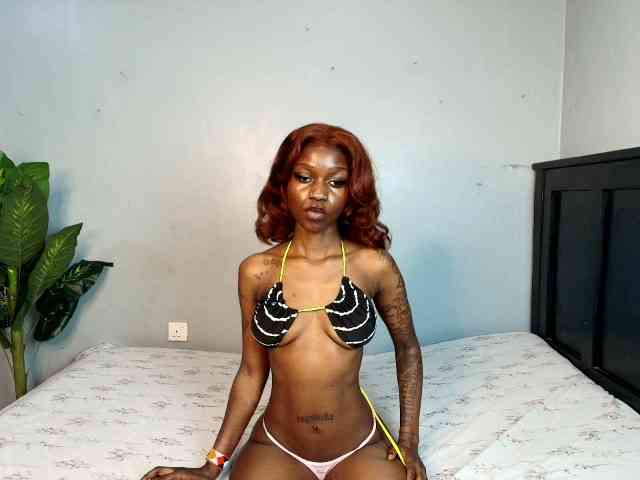 DarkCoco webcam