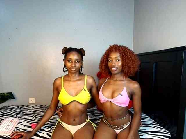 DarkCoco webcam