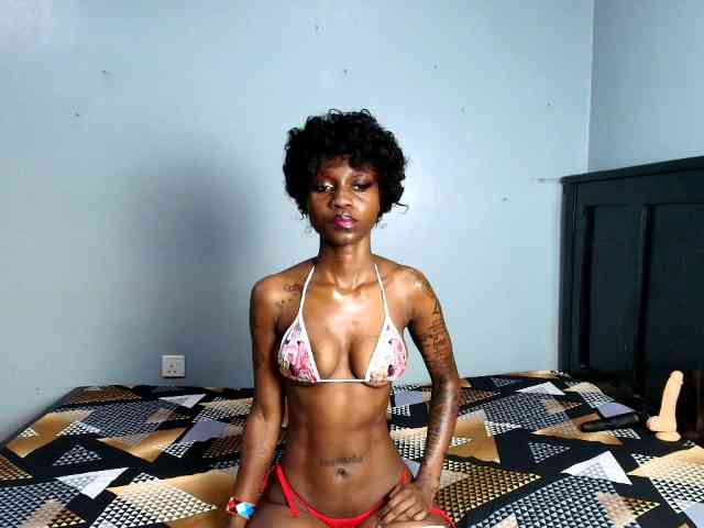 DarkCoco webcam