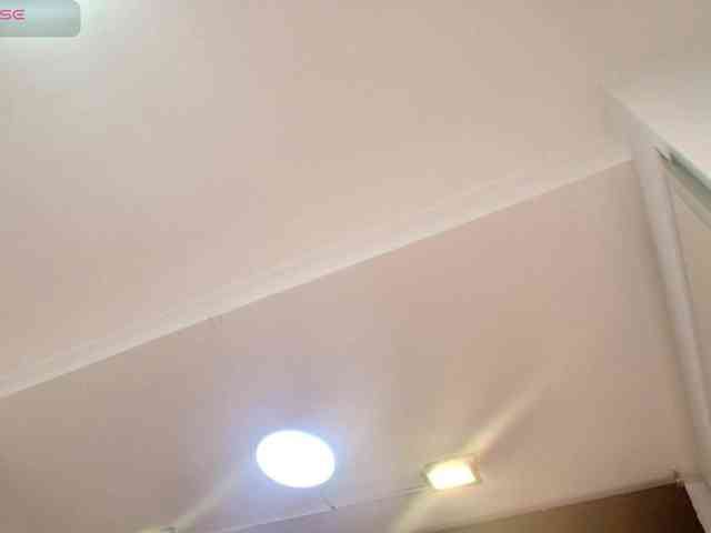 Debora-shine webcam