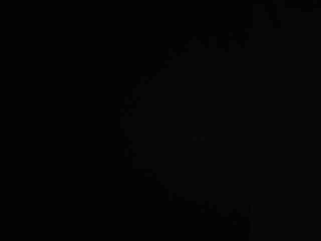 Houssem1 Live Webcam on BongaCams