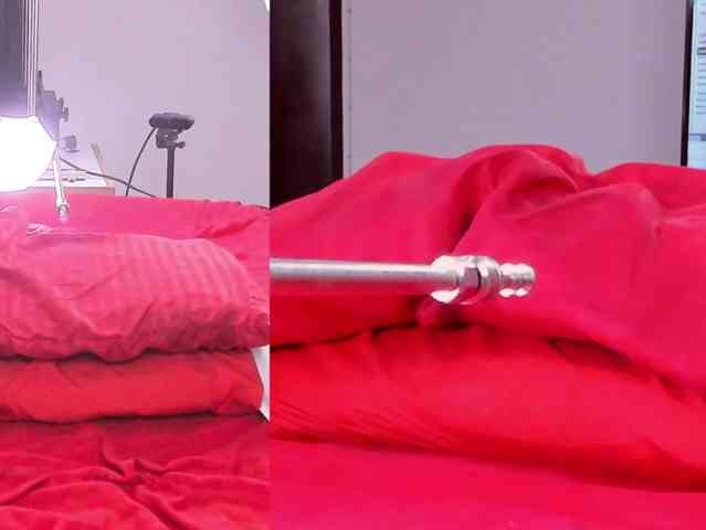 Cami-Rouse webcam