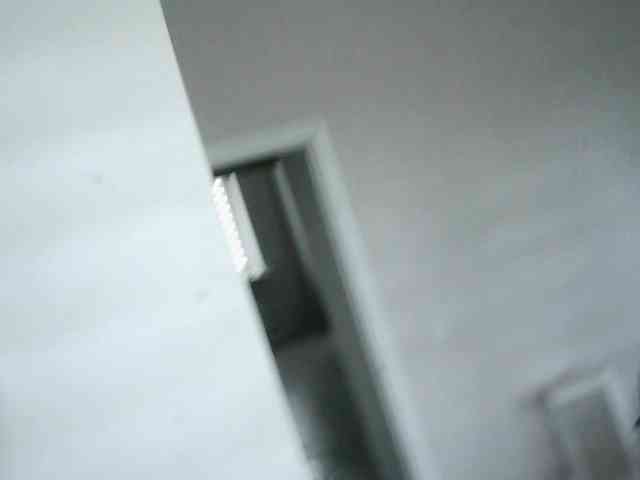 Ida-Davis webcam
