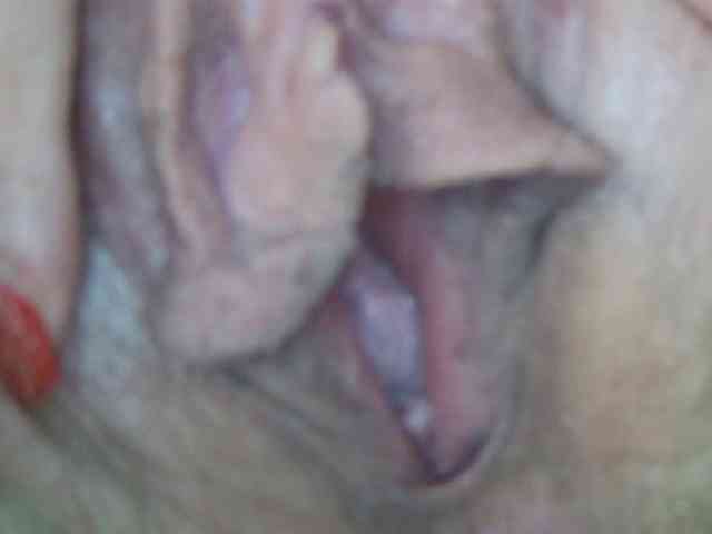 Ida-Davis webcam