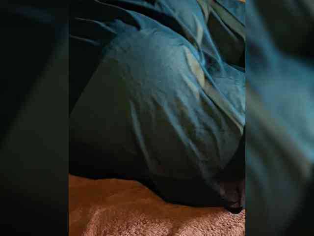 Shalynishki webcam