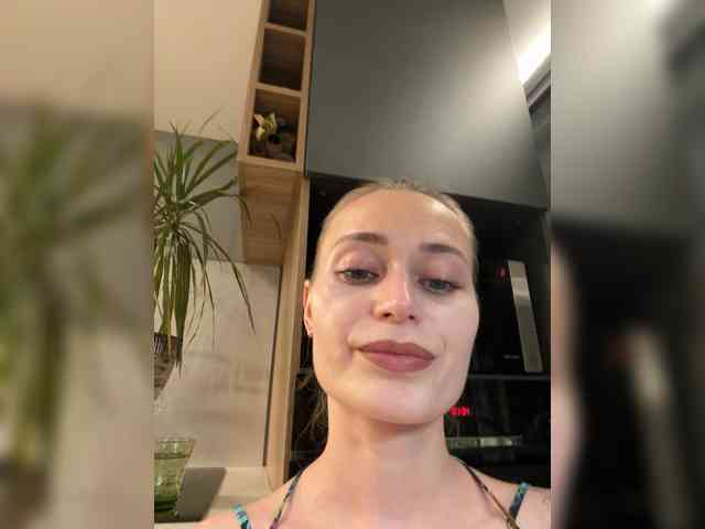 LunaStitch3 webcam