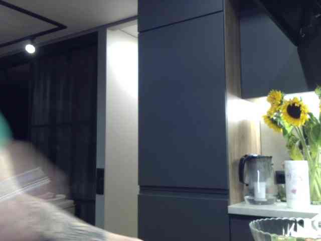 LunaStitch3 webcam