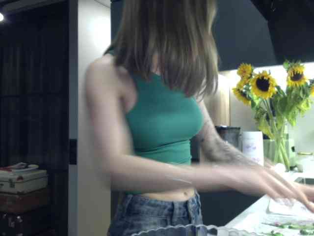 LunaStitch3 webcam