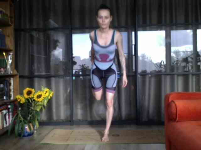 LunaStitch3 webcam
