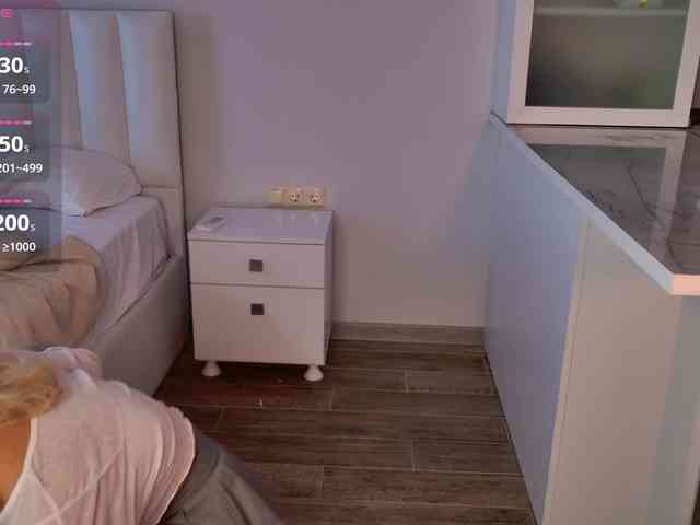 MireyaStone webcam