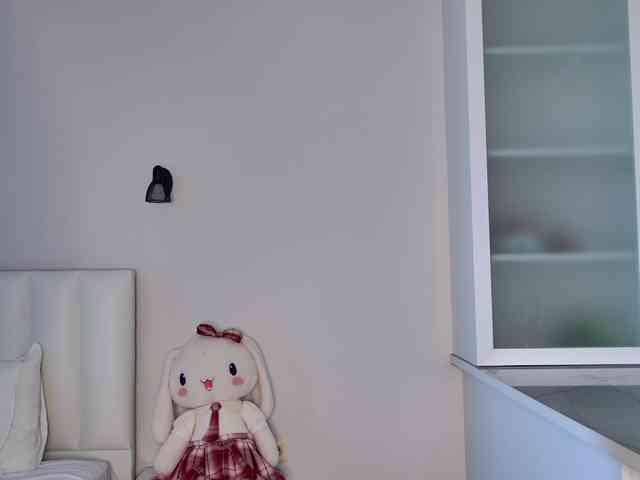 MireyaStone webcam