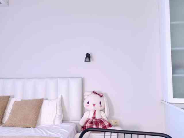MireyaStone webcam