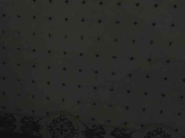 FinnaFlower webcam